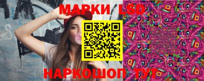 гидропоника Дубна