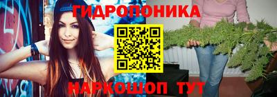 гидропоника Дубна