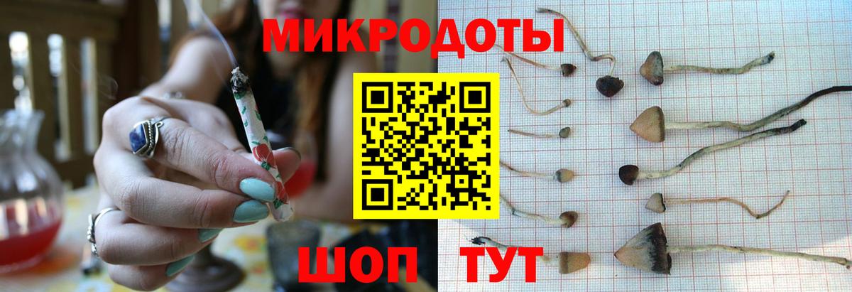 Галлюциногенные грибы Psilocybe  Псилоцибиновые грибы Cubensis  Вход с VPN  Заринск 